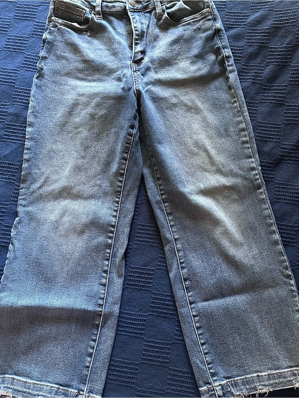 Judy Blue Light Blue High-Rise Wide Leg Crop Jeans